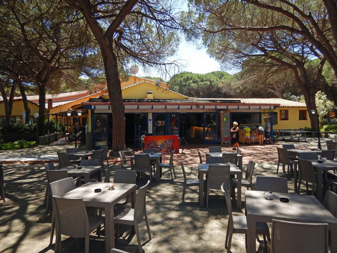 Bar im Horse Country Resort