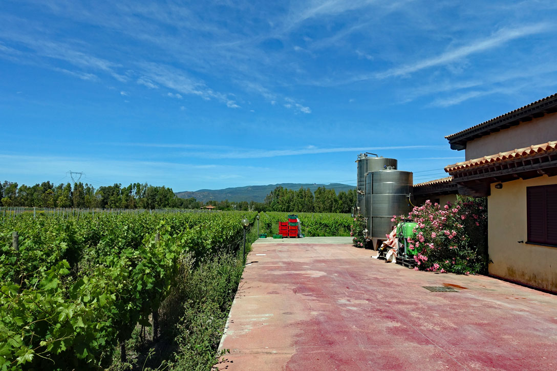 Weinkellerei Cantina del Bovale