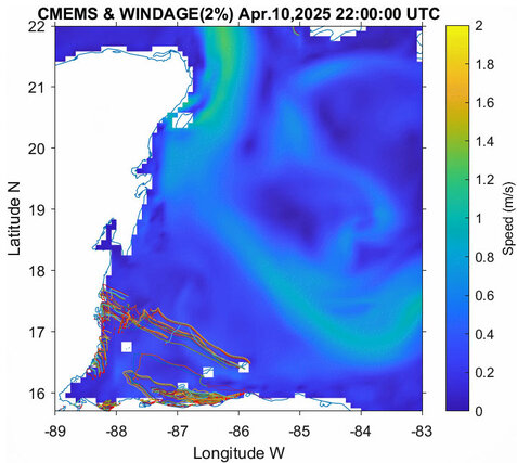 Wanderung der Braunalgen vom 7.-10. April 2025