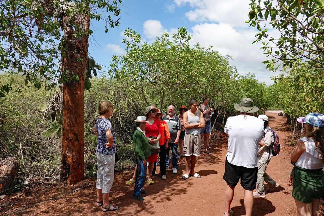 Rundgang in der Charles Darwin Aufzuchtstation