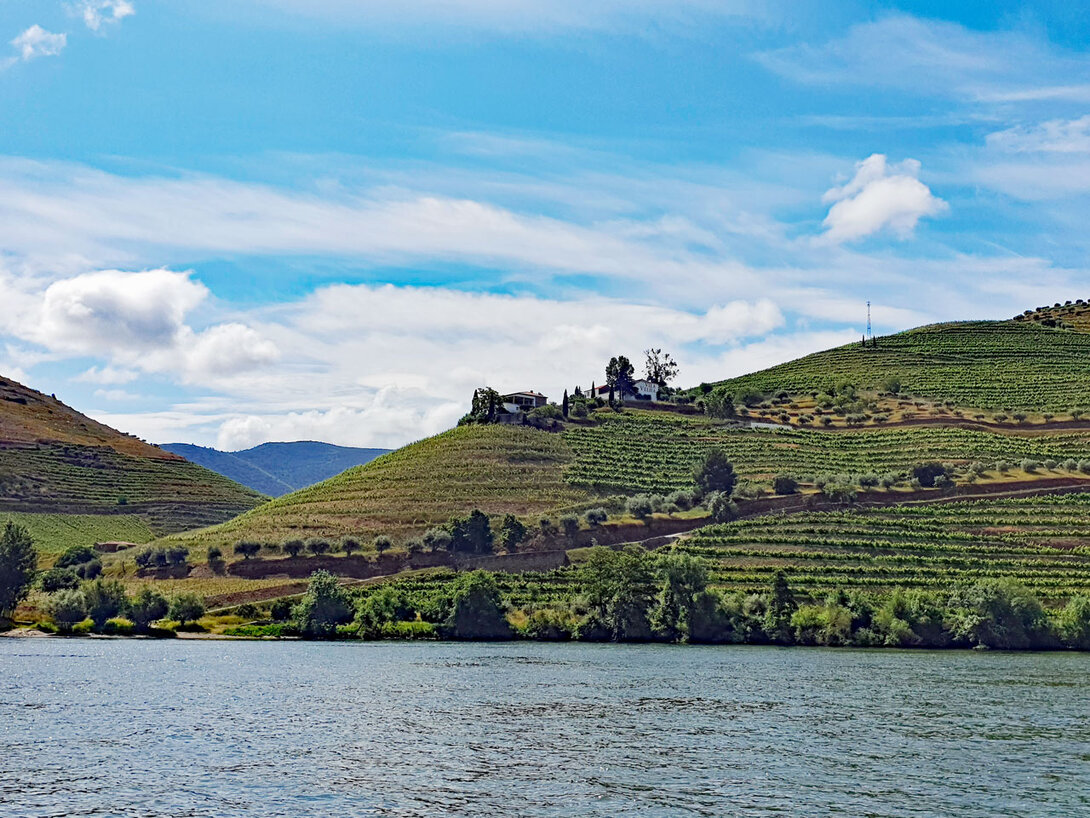 Das Weingut Vila Velha an den Hängen des Douro
