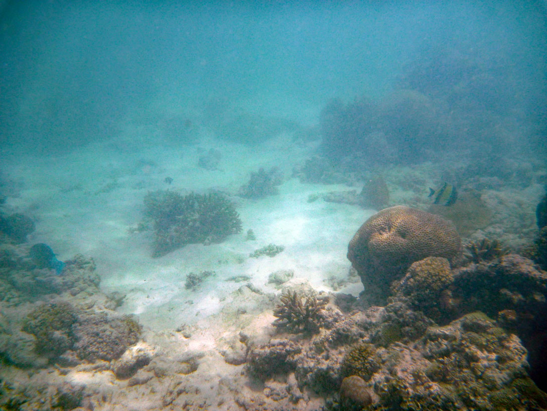 Schnorcheln am Nordstrand vom Ephelia Resort