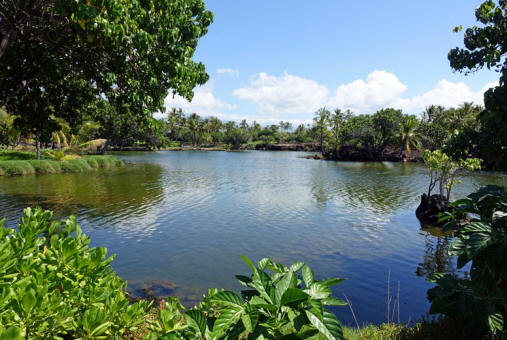 Fishpond am Mauna Lani Hotel Fishpond am Mauna Lani Hotel