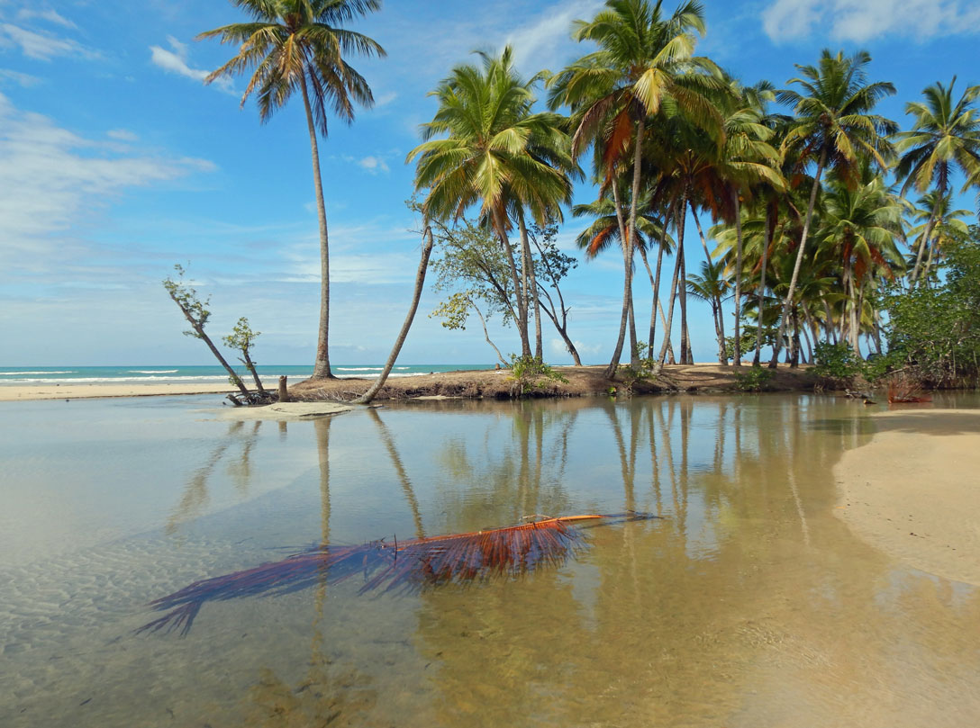 Flussmündung am Strand von Samana