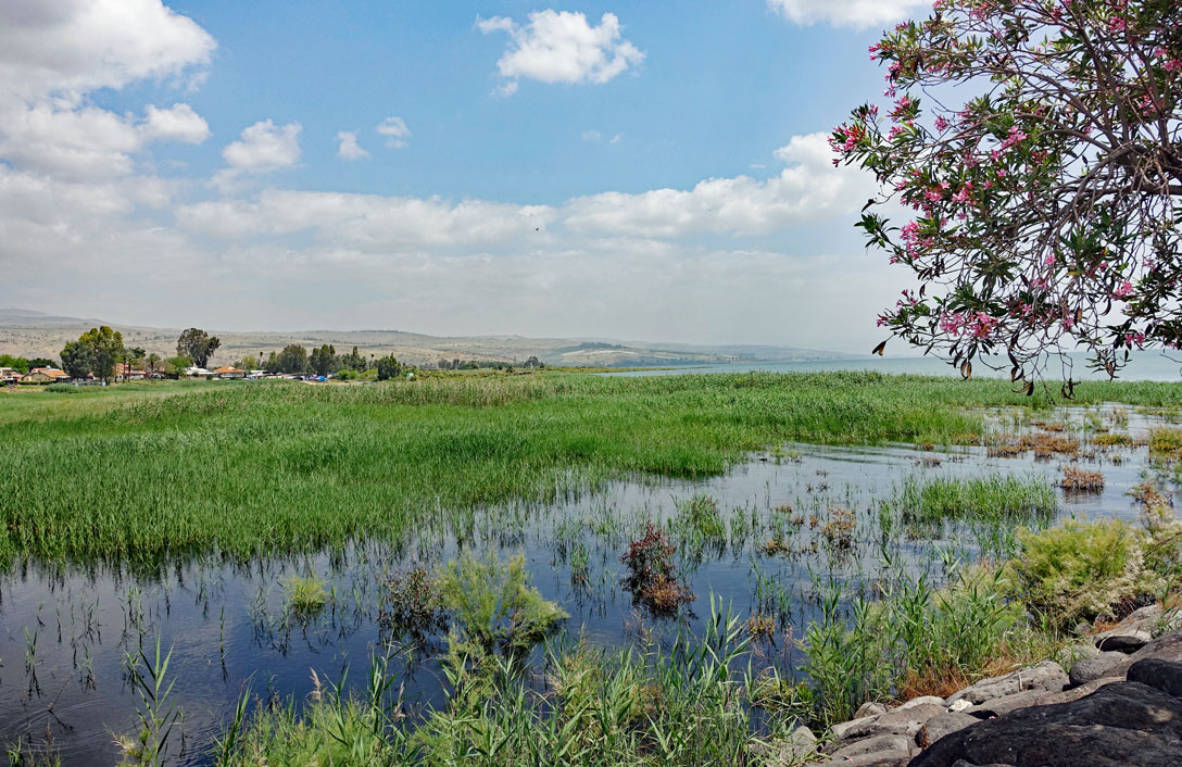 Verlandung des Sees Genezareth