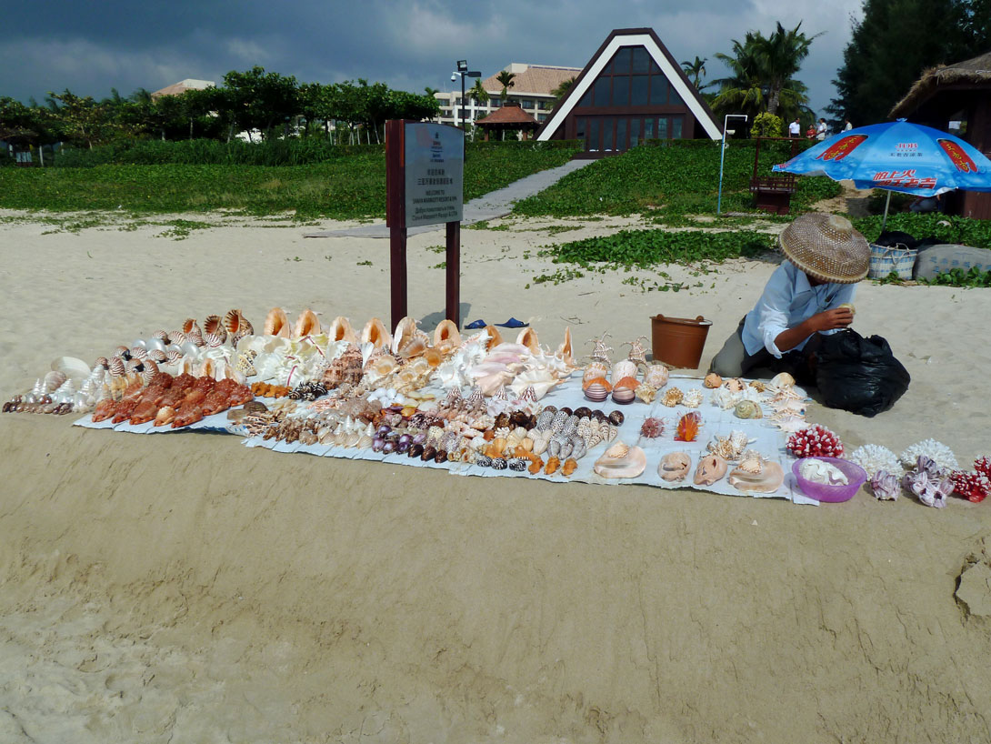 Eine Muschelsammlerin breitet ihre Schätze am Strand aus