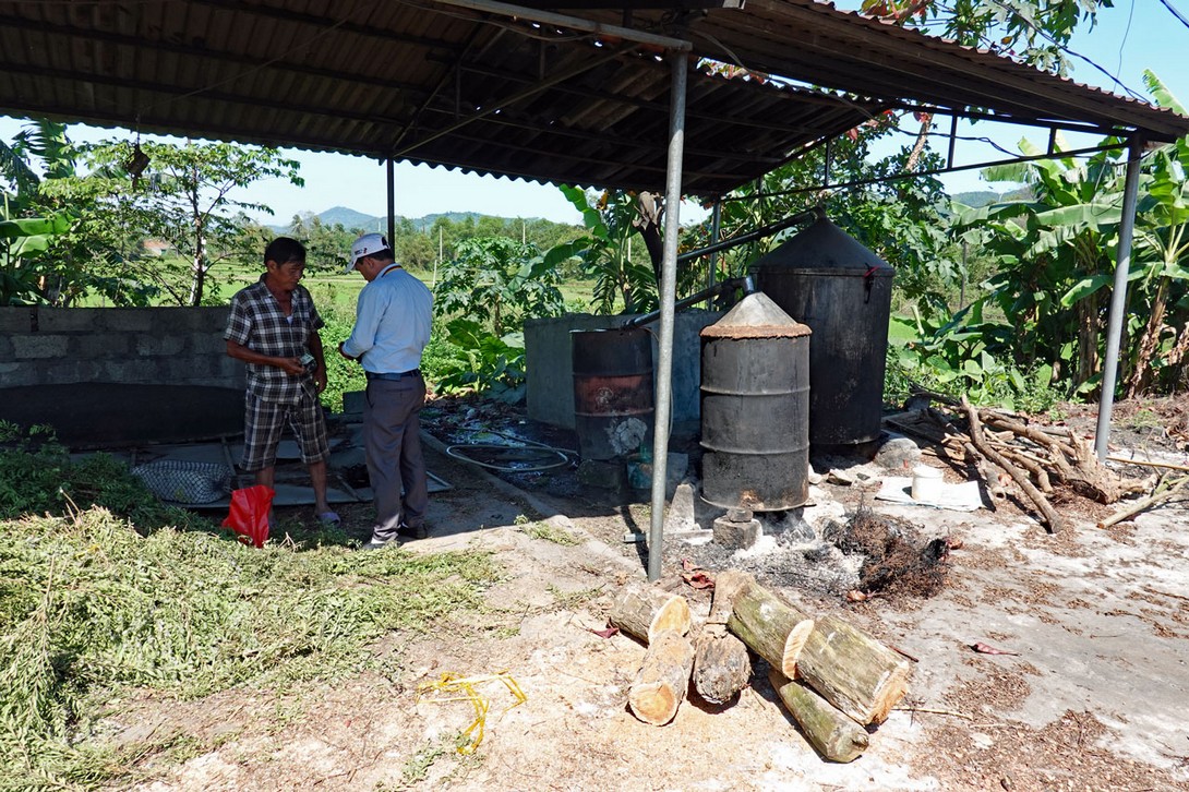Eukalyptus-Kocher an der Straße nach Hue