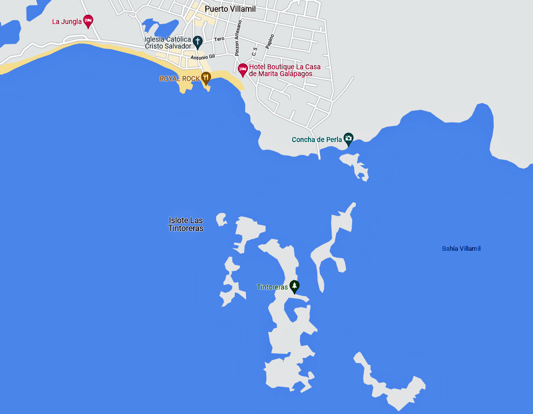 Die kleine Inselgruppe Tintoreras liegt direkt vor dem Hafen Villamil