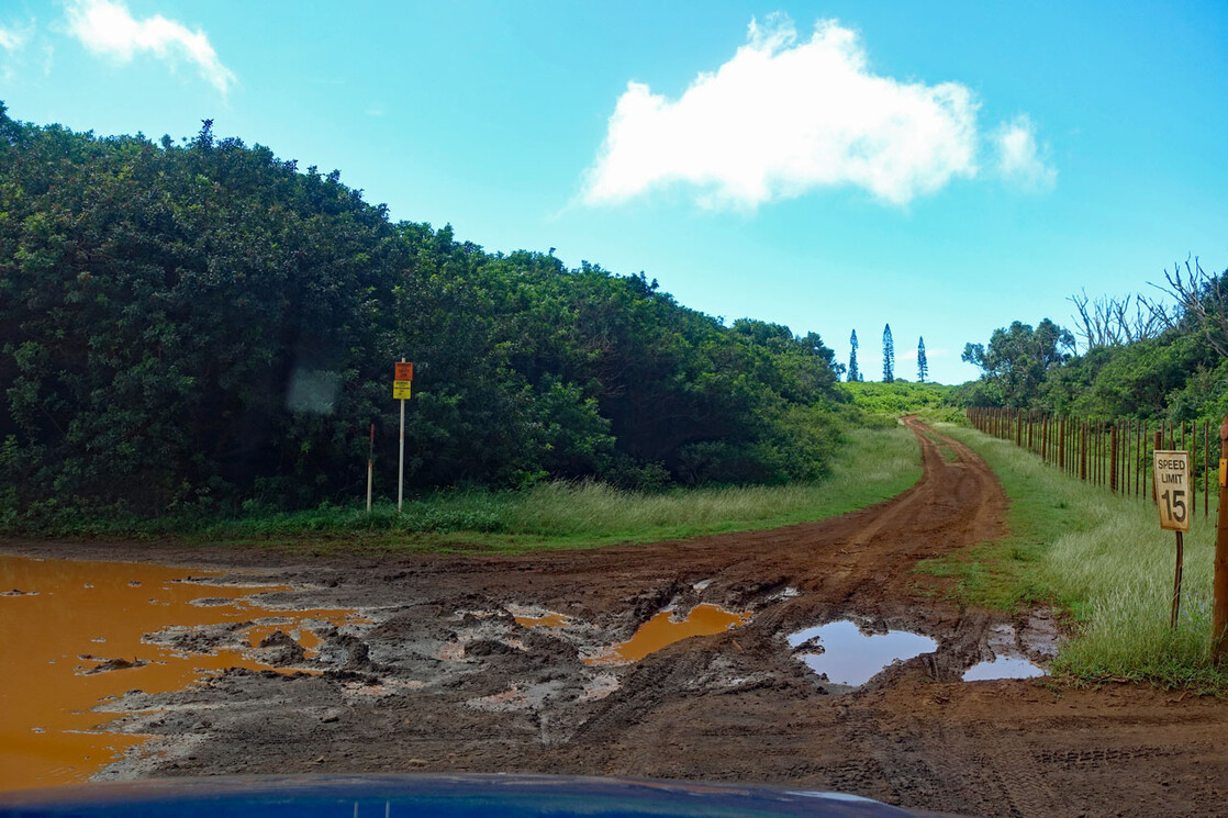Straße mit Schlammloch auf Lanai