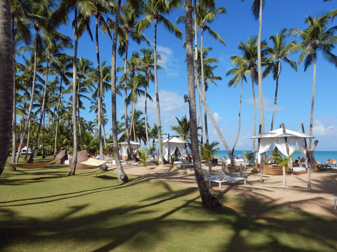 Liegewiese mit Strand