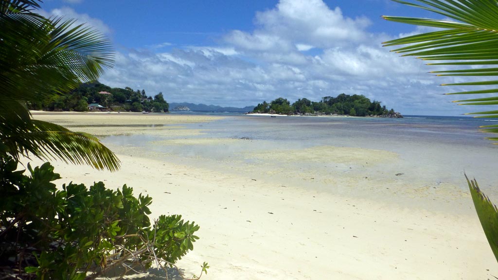 Strand an der Südseite des Ephelia Resorts mit Islet Island
