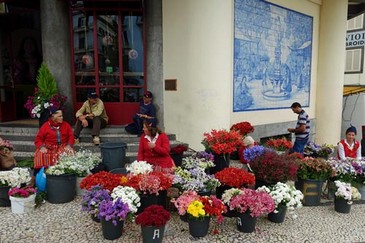Blumen auf dem Mercado in Funchal