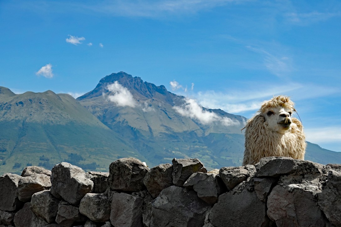 Blick auf den Vulkan Imbabura