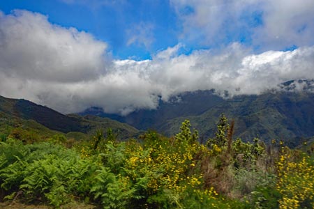 Landschaft in der Paúl da Serra