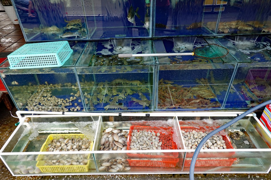 Fische, Krebse und Muscheln zur Auswahl in Duong Dong