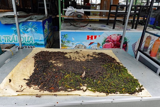 Pfeffer in verschiedenen Sorten