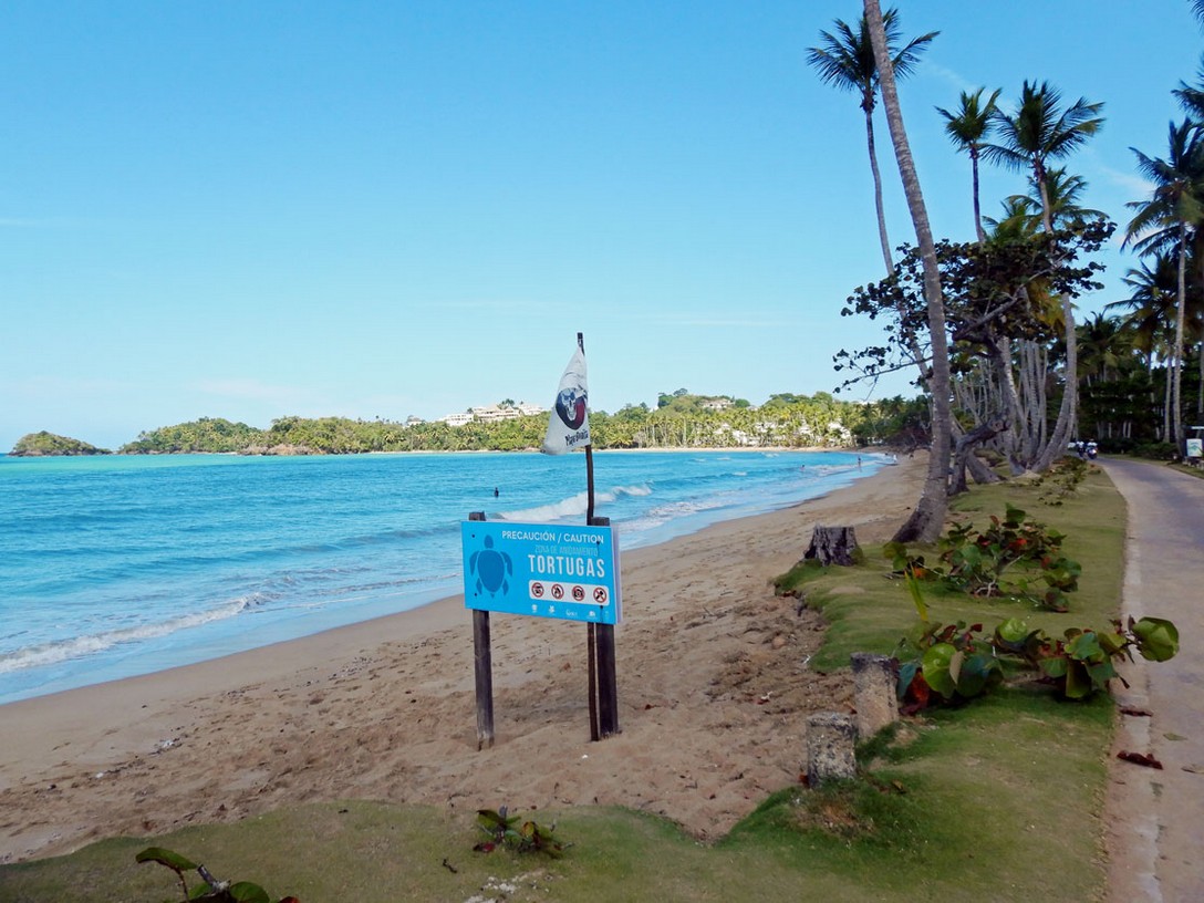 Playa Bonita Tortuga