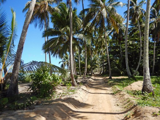 Strandweg am Wyndham Samana