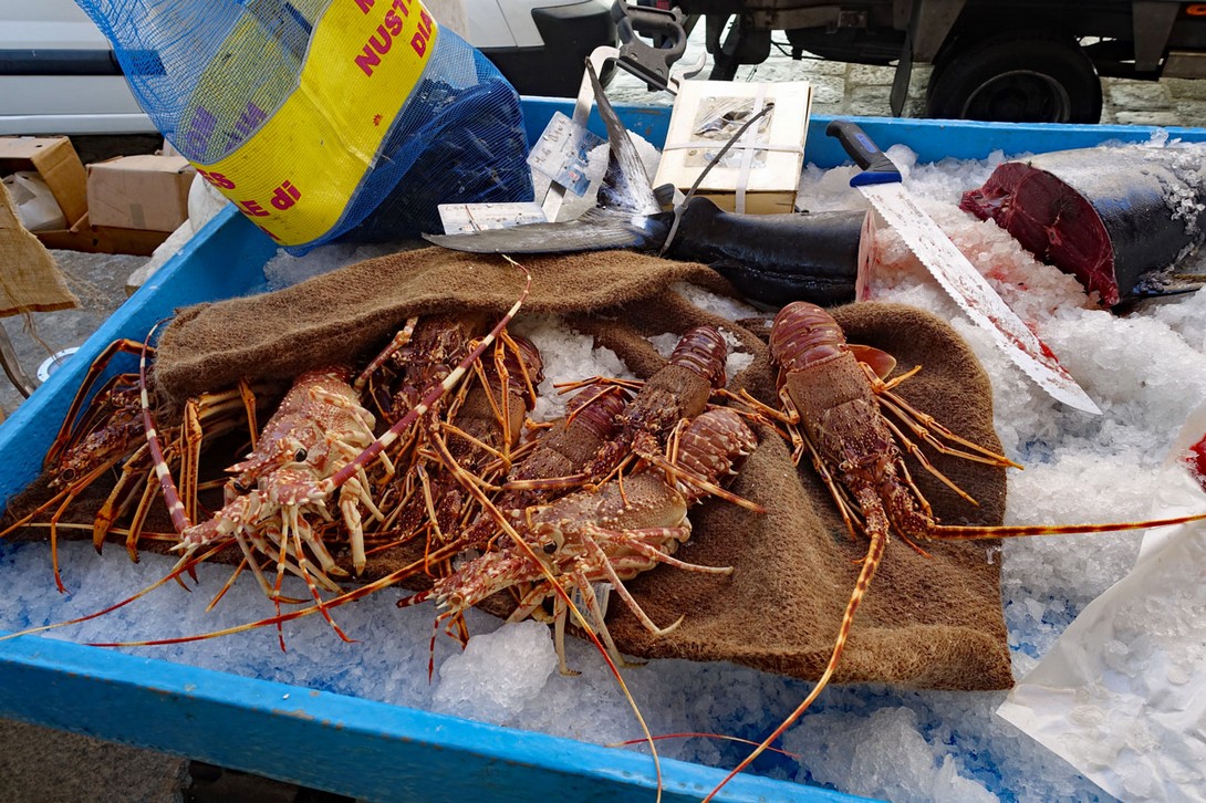 Langusten auf dem Markt von L´Ile Rousse