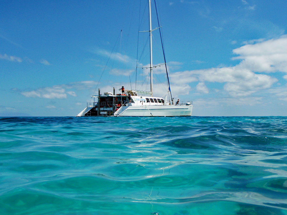 Katamaran Rum Runner