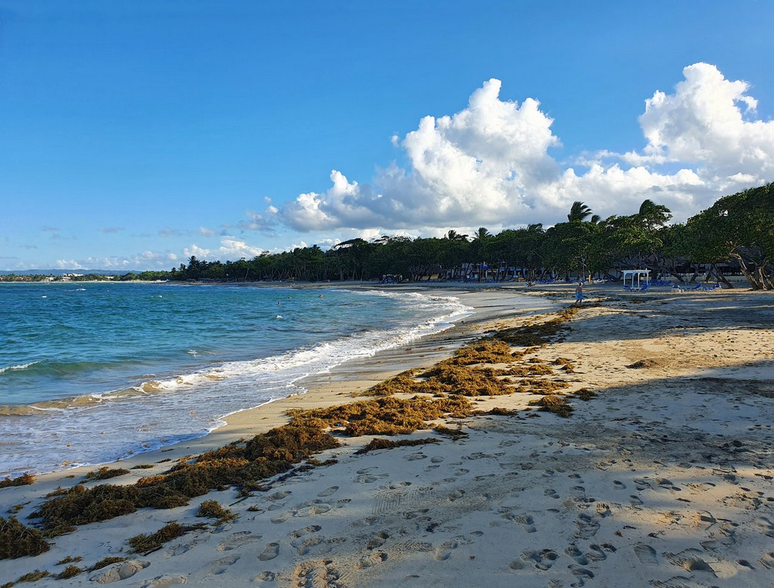 Strand mit Seegras vor dem Marién bei Ebbe