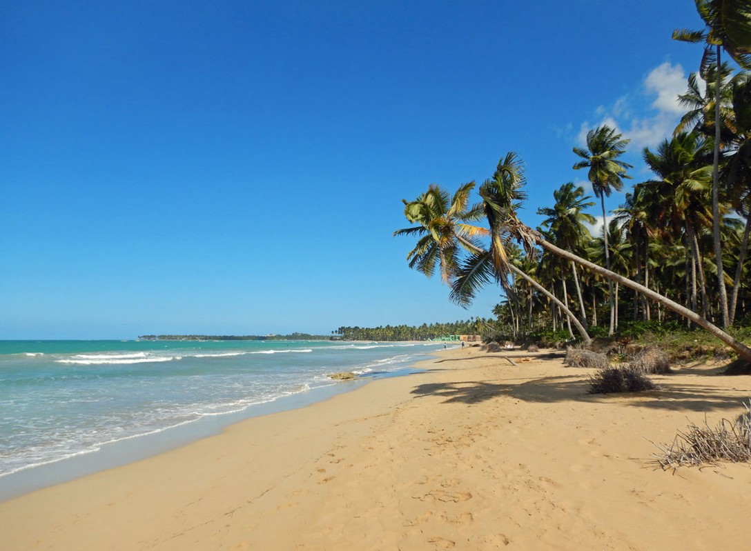 Strand im Westen vom Viva Wyndham Samana