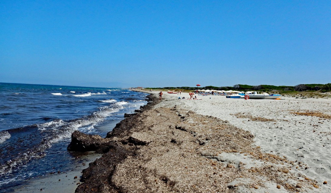 Strand am Horse Country Resort