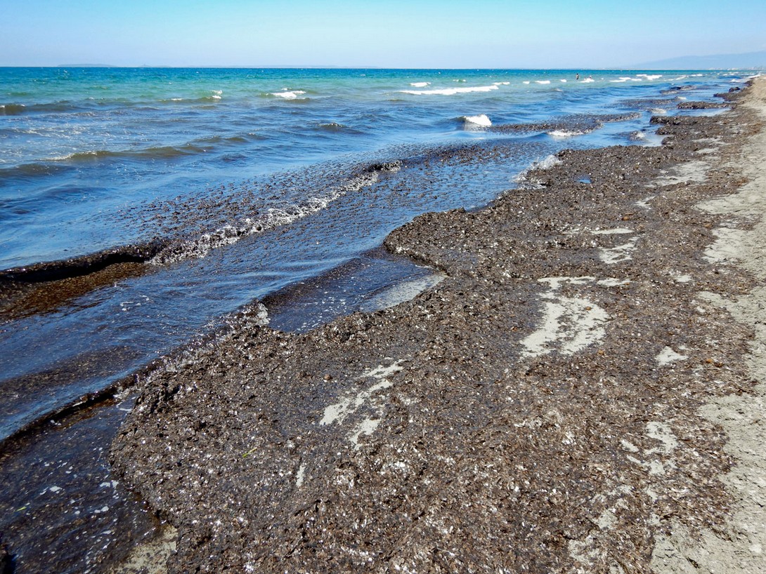 Strand am Horse Country Resort Sardinien