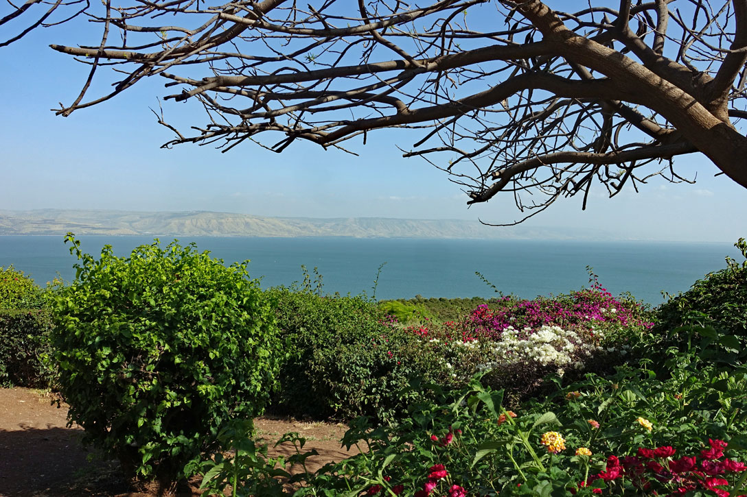 Blick von Tabgha über den See Genezareth